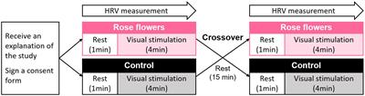 Physiological adjustment effect of visual stimulation by fresh rose flowers on sympathetic nervous activity